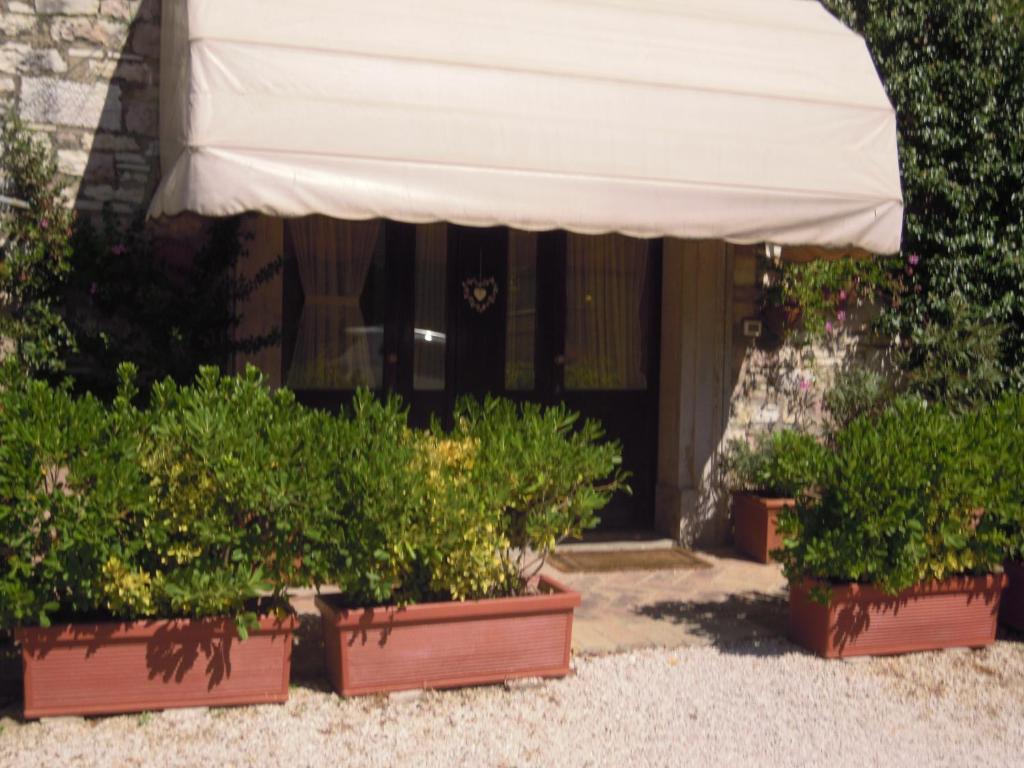 Apartmán Il Turrione Assisi Exteriér fotografie